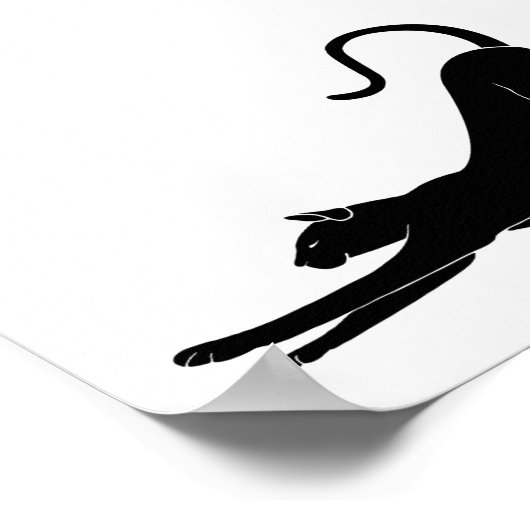 Cat Stretching Poster (Hoek)