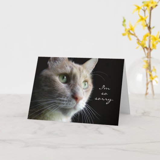 Cat Sympathcard Kaart (Gele Bloem)