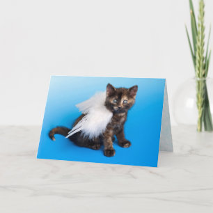 Cat Sympathcard Kaart