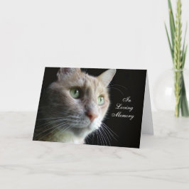 Cat Sympathcard Kaart