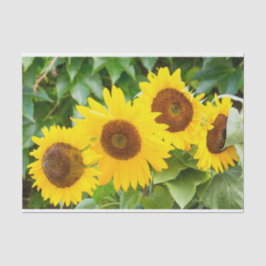 Cat Sympathie met zonnebloemen Tissuepapier