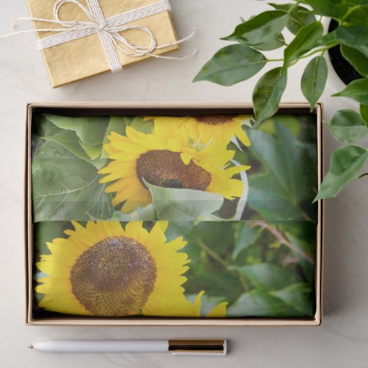 Cat Sympathie met zonnebloemen Tissuepapier (Geschenk)