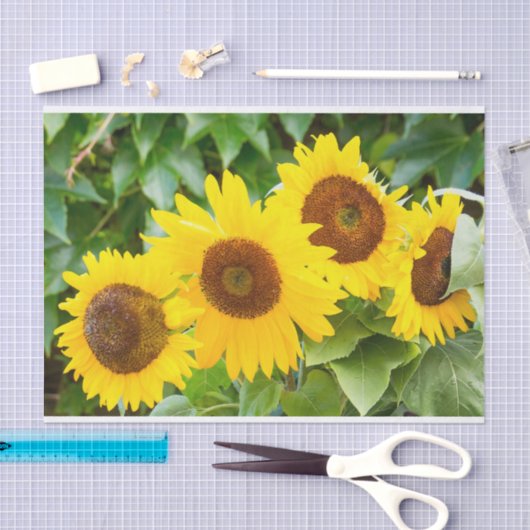 Cat Sympathie met zonnebloemen Tissuepapier (Craft)