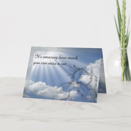 Cat Sympathie - Sorry voor je verlies Kaart (Voorkant)