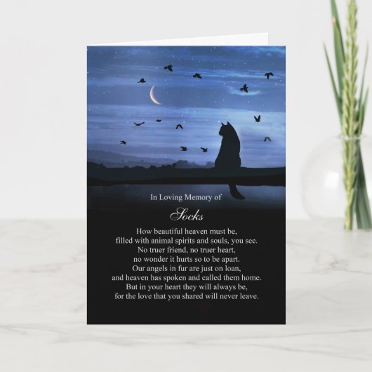 Cat Sympathie Verlies van aangepaste kattennaam Sp Kaart (Voorkant)