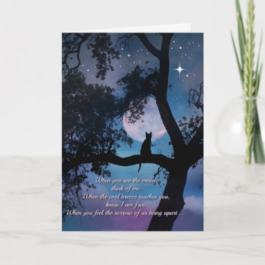 Cat Sympathie, verlies van katten Kaart (Voorkant)