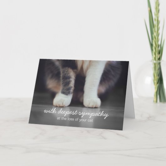 Cat Sympathy Bereavement Wenskaart Kaart (Voorkant)