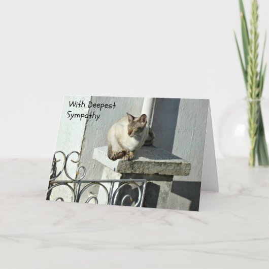 Cat Sympathy Card met grijze en witte kat Kaart (Voorkant)