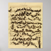 Cat Symphony, 1868, ingediend door Moritz von Schw Poster (Voorkant)