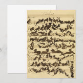 Cat Symphony door Moritz von Schwind Bedankkaart (Voorkant / Achterkant)