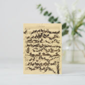 Cat Symphony door Moritz von Schwind Feestdagenkaart (Staand voorkant)