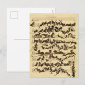 Cat Symphony door Moritz von Schwind Feestdagenkaart (Voorkant / Achterkant)