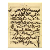 Cat Symphony door Moritz von Schwind Foto Afdruk (Voorkant)