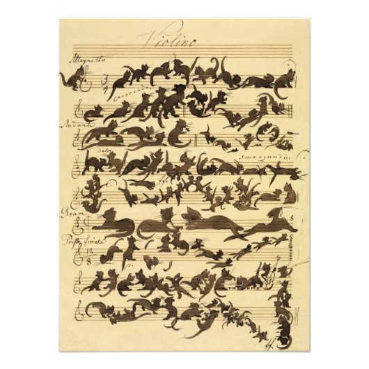 Cat Symphony door Moritz von Schwind Foto Afdruk (Voorkant)