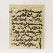 Cat Symphony door Moritz von Schwind Legpuzzel (Verticaal)