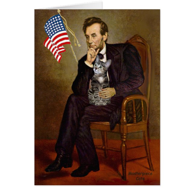 CAT (Tabby2) - Lincoln (Voorkant)