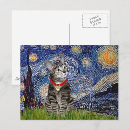 CAT (Tabby2) — Sterrennacht Briefkaart (Voorkant / Achterkant)