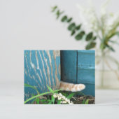 Cat Tail-kalender ~ briefkaart (Staand voorkant)