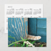 Cat Tail-kalender ~ briefkaart (Voorkant / Achterkant)