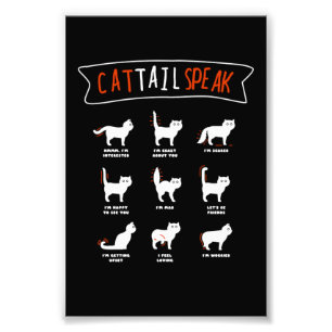 Cat Tail Speak Cat Kitten Meow Animal Foto Afdruk