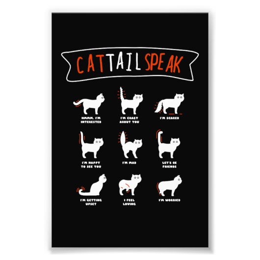 Cat Tail Speak Cat Kitten Meow Animal Foto Afdruk (Voorkant)