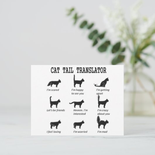 CAT-TAILTRANSLATOR BRIEFKAART (Staand voorkant)