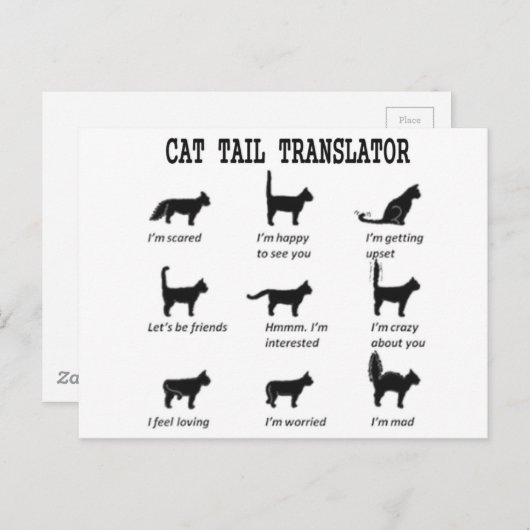 CAT-TAILTRANSLATOR BRIEFKAART (Voorkant / Achterkant)