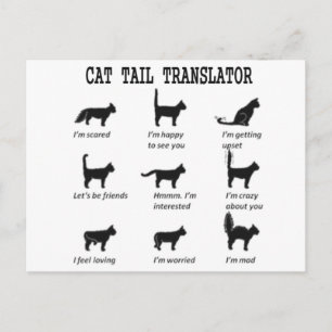 CAT-TAILTRANSLATOR BRIEFKAART