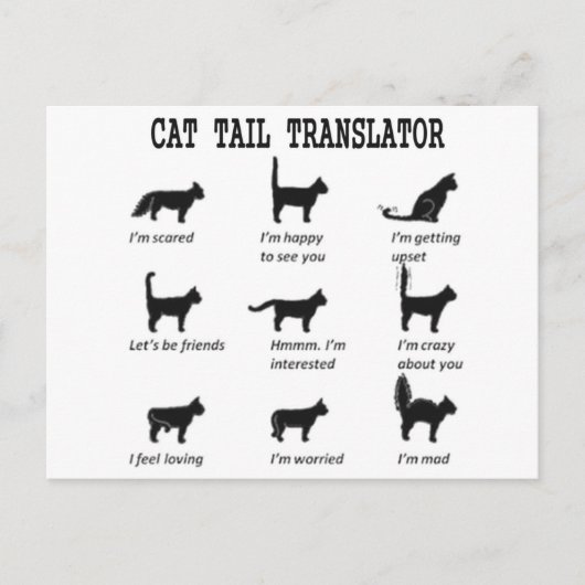 CAT-TAILTRANSLATOR BRIEFKAART (Voorkant)