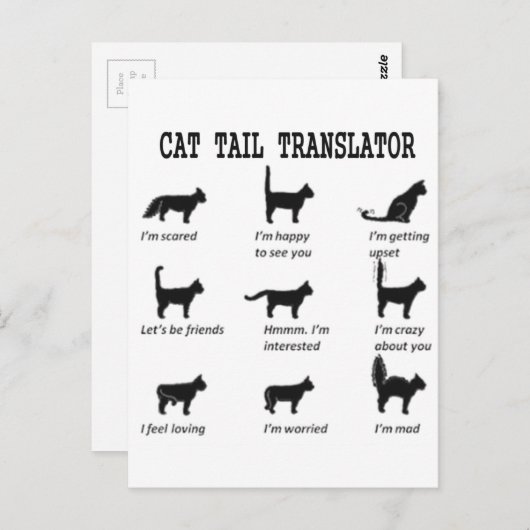 CAT-TAILTRANSLATOR BRIEFKAART (Voorkant / Achterkant)