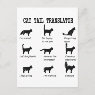 CAT-TAILTRANSLATOR BRIEFKAART