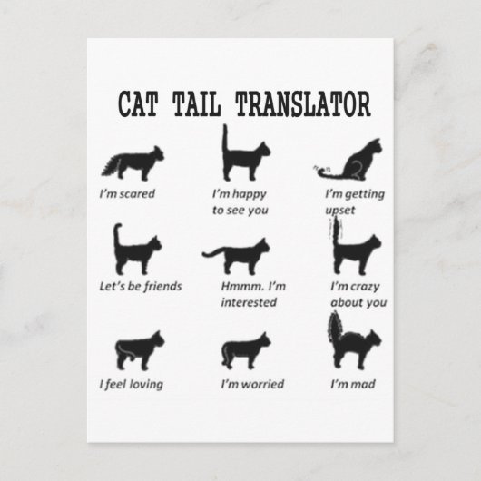 CAT-TAILTRANSLATOR BRIEFKAART (Voorkant)