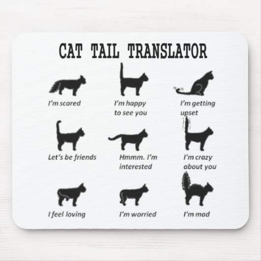 CAT-TAILTRANSLATOR MUISMAT (Voorkant)