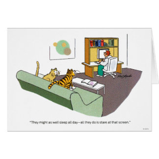 Cat Talk