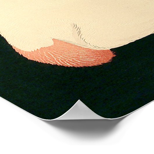 Cat Tama Poster (Hoek)