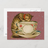 Cat Teacup Schattige  Victoriaans Briefkaart (Voorkant / Achterkant)