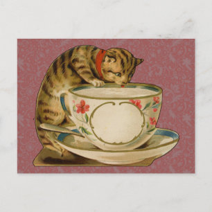 Cat Teacup Schattige  Victoriaans Briefkaart