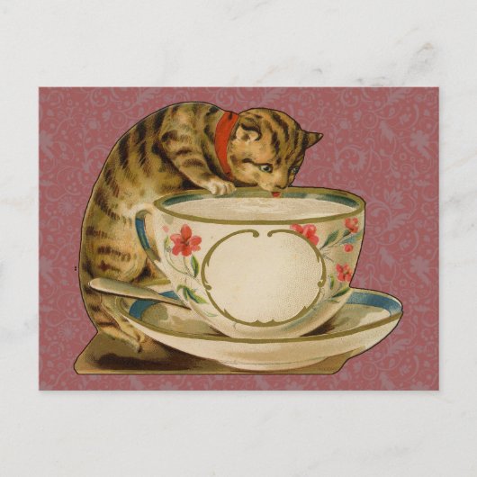 Cat Teacup Schattige  Victoriaans Briefkaart (Voorkant)