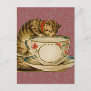 Cat Teacup Schattige  Victoriaans Briefkaart