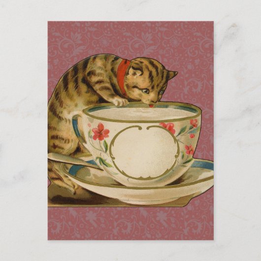 Cat Teacup Schattige  Victoriaans Briefkaart (Voorkant)