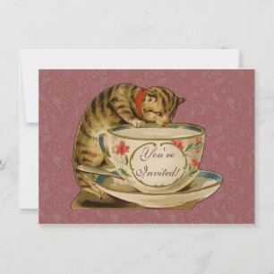 Cat Teacup Schattige  Victoriaans Kaart