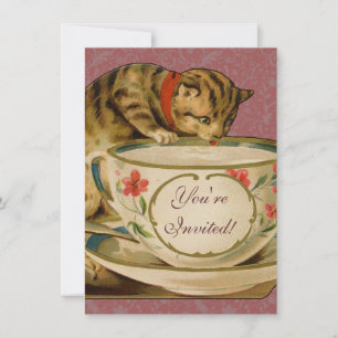 Cat Teacup Schattige  Victoriaans Kaart