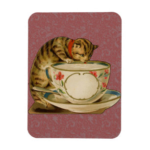 Cat Teacup Schattige  Victoriaans Magneet