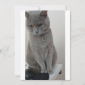 CAT-test Kaart (Voorkant)