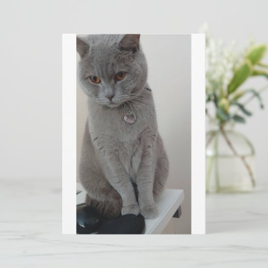 CAT-test Kaart (Staand voorkant)