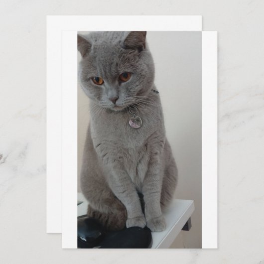 CAT-test Kaart (Voorkant / Achterkant)