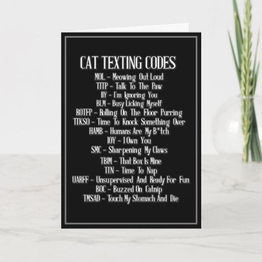 Cat Texting Codes Humor Kaart (Voorkant)