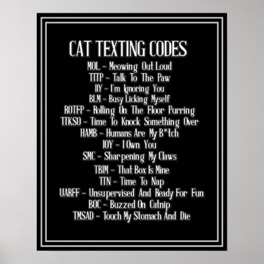 Cat Texting Codes Humor Poster (Voorkant)