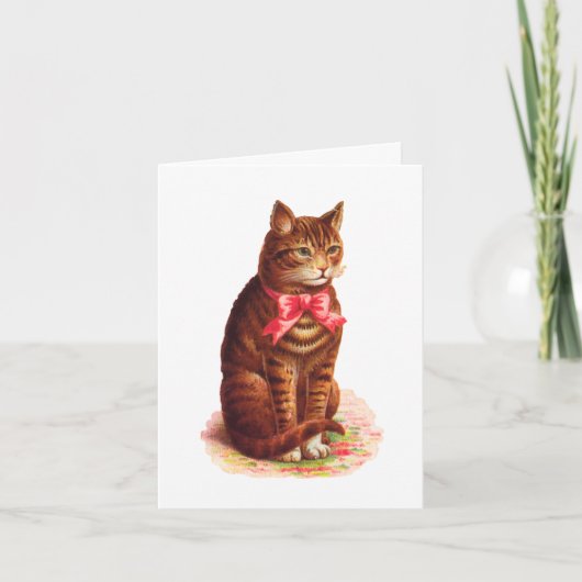 Cat Thank You Card -  Bedankkaart (Voorkant)