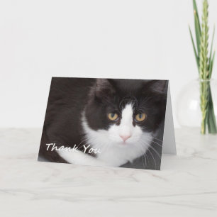 Cat Thank You Card beroemd gemaakt door Focus for  Bedankkaart